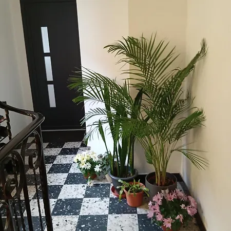 Appartement Les Charmes De La Kirneck *