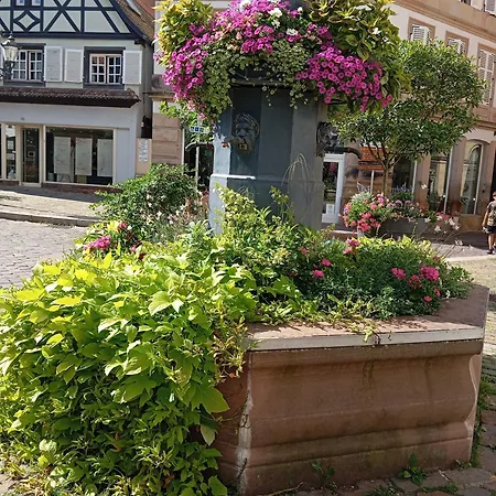 Les Charmes De La Kirneck Apartment