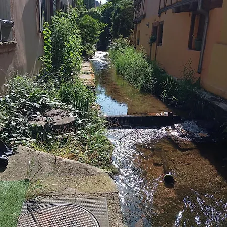 アパート Les Charmes De La Kirneck バール